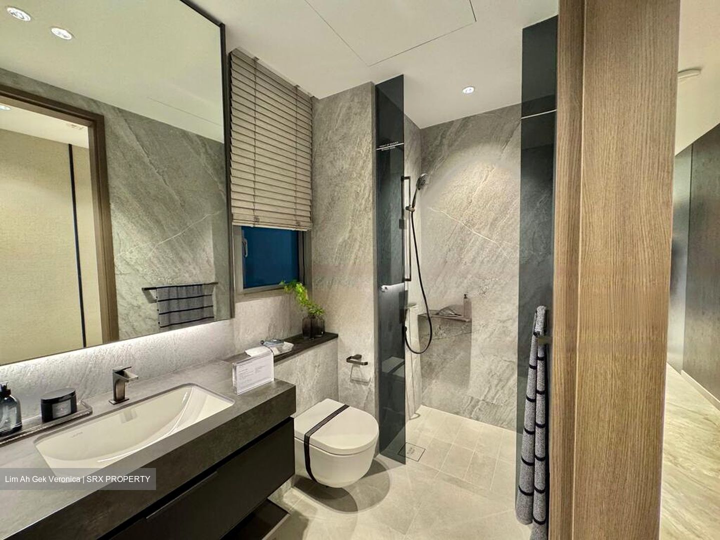 Zion Road (D3), Condominium #469112541